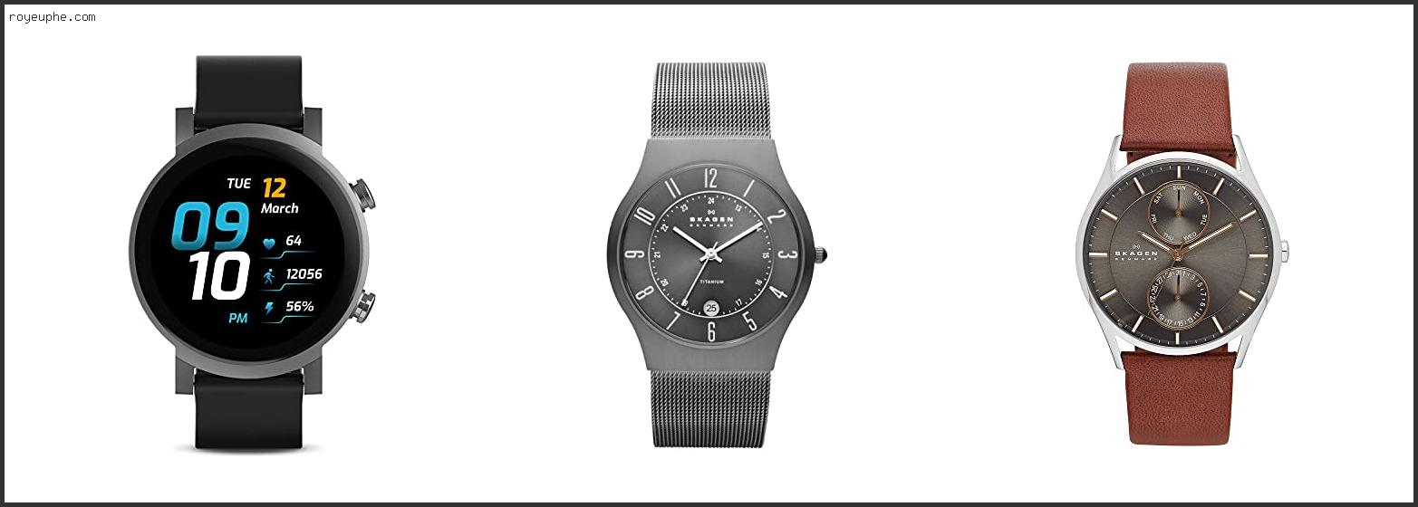 Best Skagen Denmark Mens Watches Skw6040