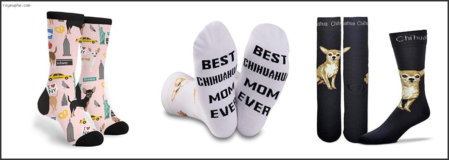 Best Chihuahua Socks Mens